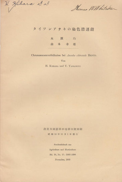 Chromosomenverhaltnisse bei Aucuba chinensis Benth.