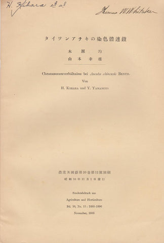 Chromosomenverhaltnisse bei Aucuba chinensis Benth.