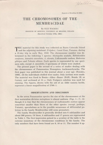 The Chromosomes of the Membracidae