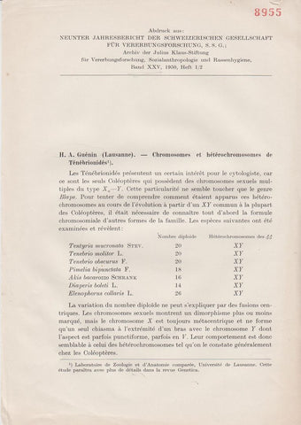 Chromosomes et Heterochromosomes de Tenebrionides