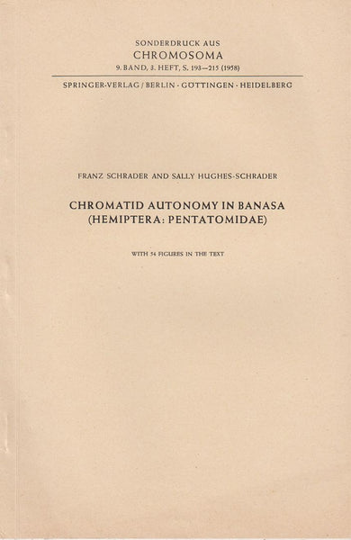 Chromatid Autonomy in Banasa (Hemiptera: Pentatomidae)
