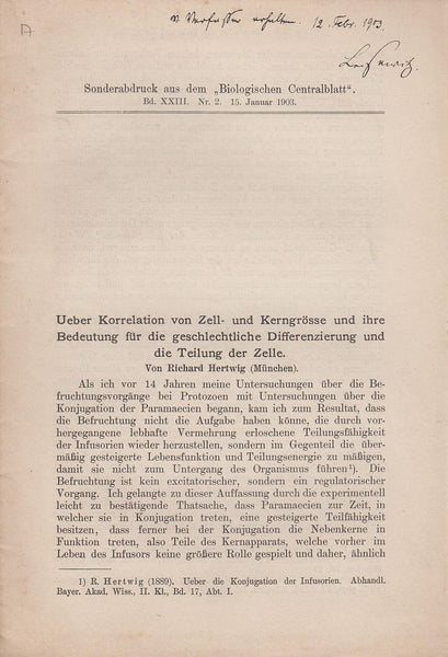 Ueber Korrelation von Zell- und Kerngrosse und ihre Bedeutung fur die geschlechtliche Differenzierung und die Teilung der Zelle