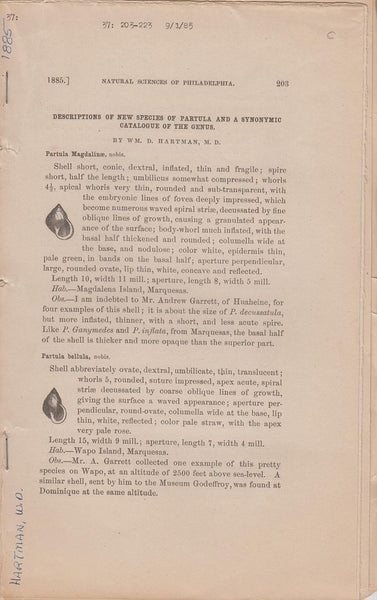 Descriptions of New Species of Partula and a Synonymic Catalogue of the Genus