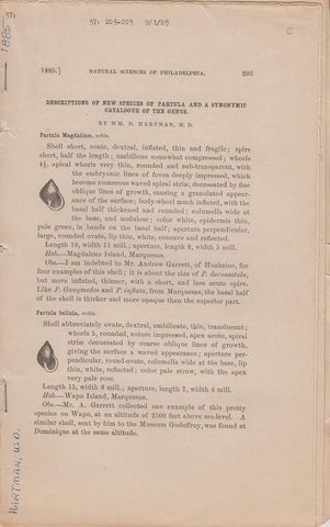 Descriptions of New Species of Partula and a Synonymic Catalogue of the Genus