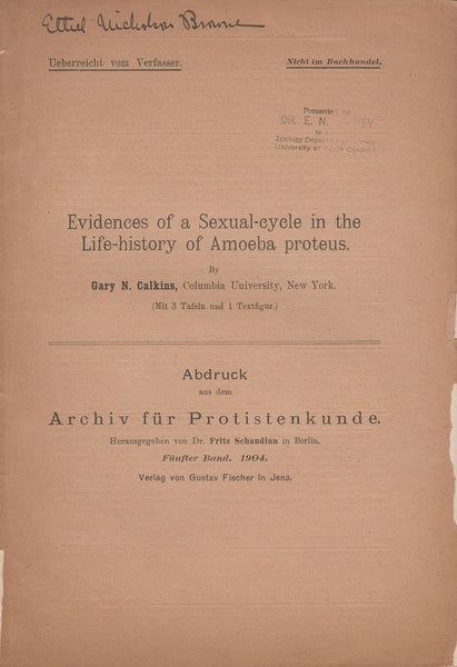 Evidences of a Sexual-Cycle in the Life-History of Amoeba Proteus