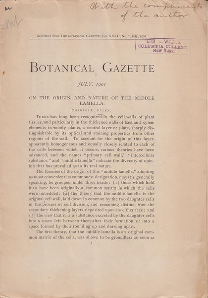 On the Origin and Nature of the Middle Lamella