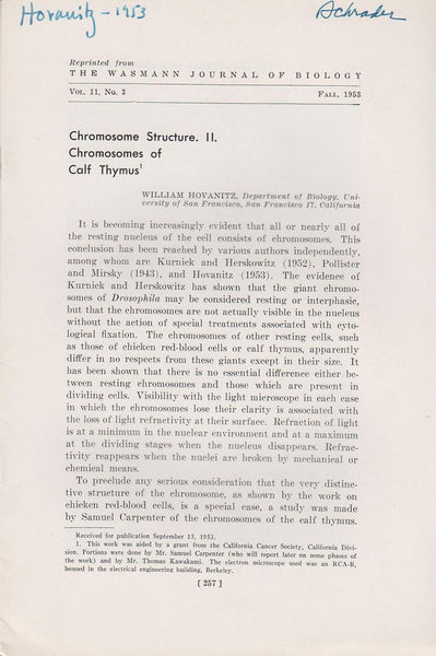 Chromosome Structure. II. Chromosomes of Calf Thymus