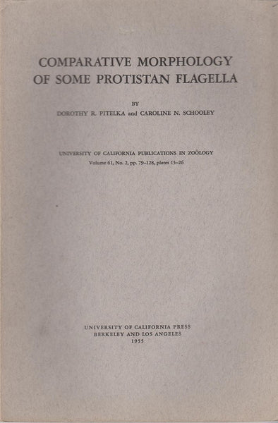 Comparative Morphology of Some Protistan Flagella