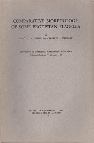 Comparative Morphology of Some Protistan Flagella