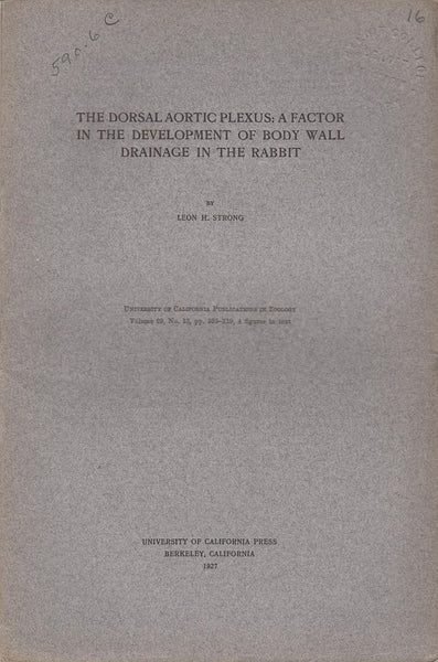 The Dorsal Aortic Plexus: A Factor in the Development of Body Wall Drainage in the Rabbit
