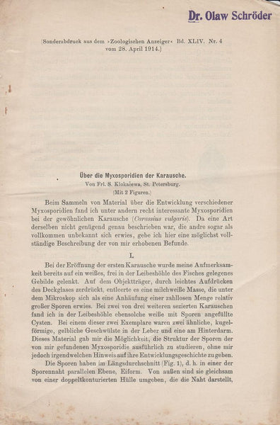 Uber die Myxosporidien der Karausche