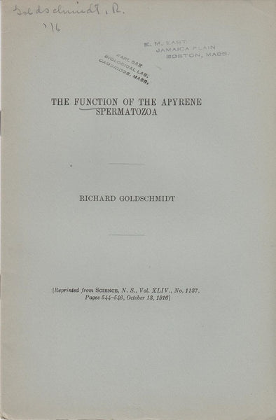 The Function of the Apyrene Spermatozoa