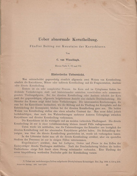 Ueber abnormale Kerntheilung