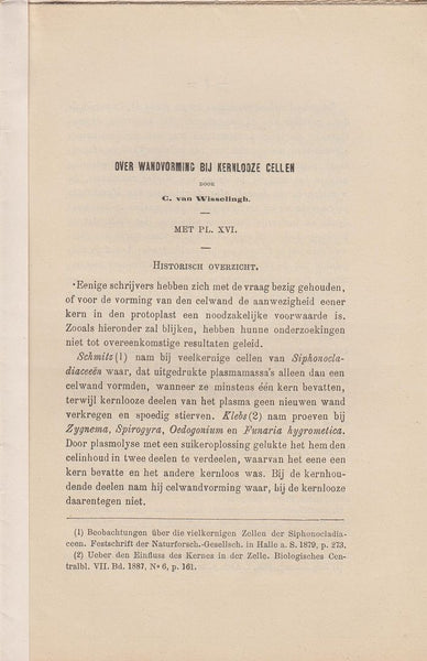 Over Wandvorming bij Kernlooze Cellen