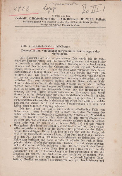 Demonstration von Mikrophotogrammen des Erregers der Orientbeule