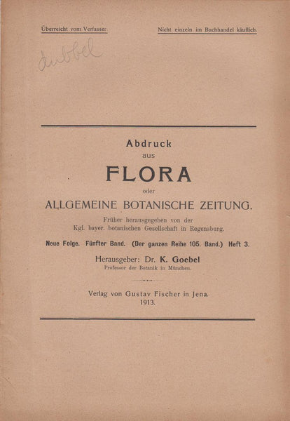 Die Kernteilung bei Eunotia major Rabenh