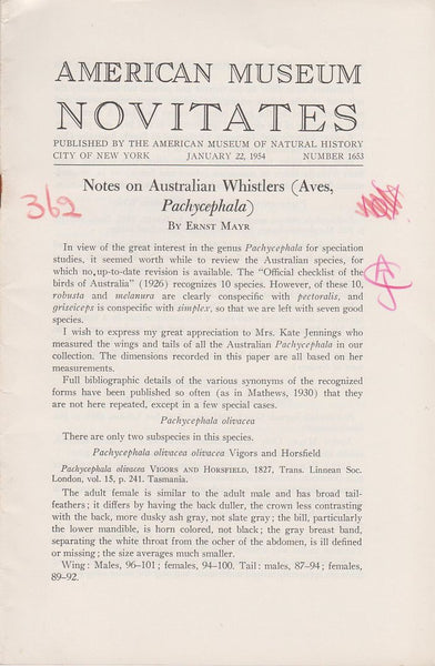 Notes on Australian Whistlers (Aves, Pachycephala)