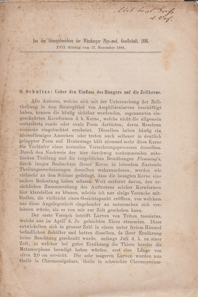 Ueber den Einfluss des Hungers auf die Zellkerne