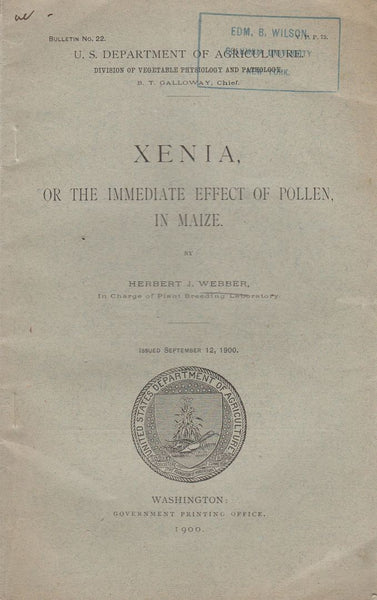 Xenia, or the Immediate Effect of Pollen, in Maize