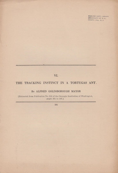 The Tracking Instinct in a Tortugas Ant