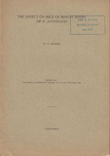 The Effect on Mice of Minute Doses of B. Anthracis