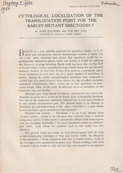 Cytological Localization of the Translocation Point for the Barley Mutant Erectoides 7