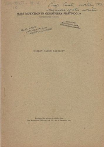 Mass Mutation in Oenothera Pratincola
