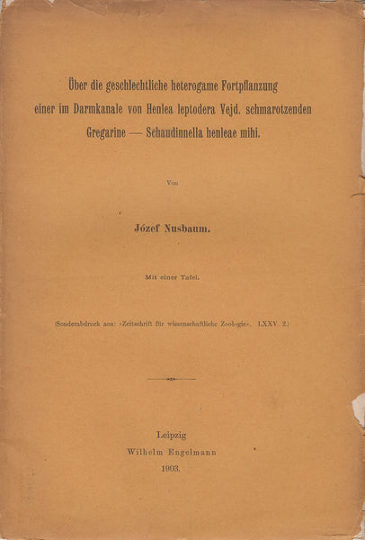 Uber die Geschlechtliche heterogame Fortpflanzung einer im Darmkanale von Henlea leptodera Vejd. schmarotzenden Gragarine--Schaudinnella henleae mihi