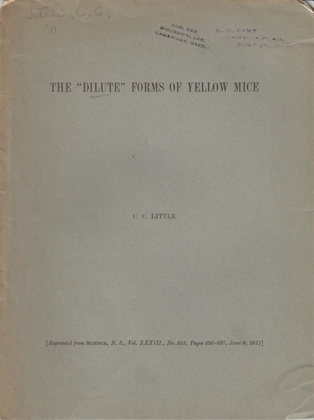The "Dilute" forms of Yellow Mice