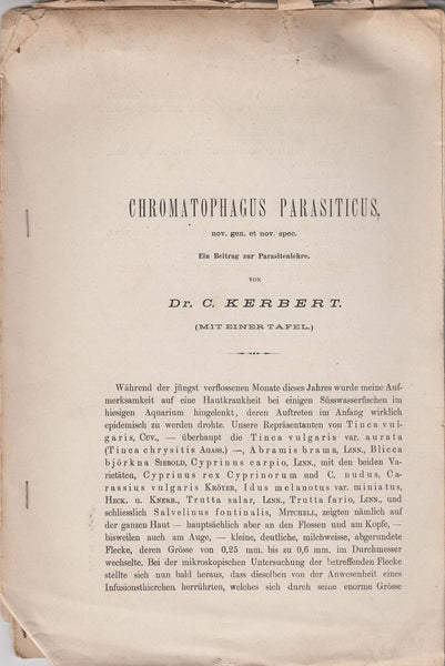 Chromatophagus Parasiticus, nov. gen. et nov. spec.