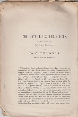 Chromatophagus Parasiticus, nov. gen. et nov. spec.