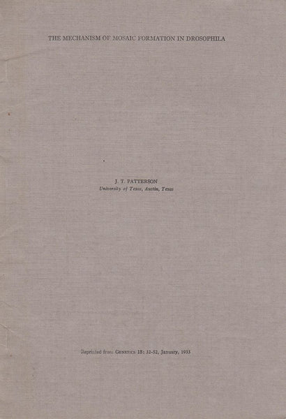 The Mechanism of Mosaic Formation in Drosophila