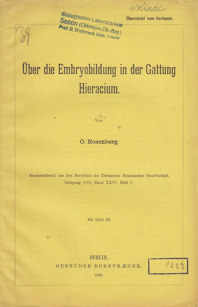 Uber die Embryobildung in der Gattung Hieracium