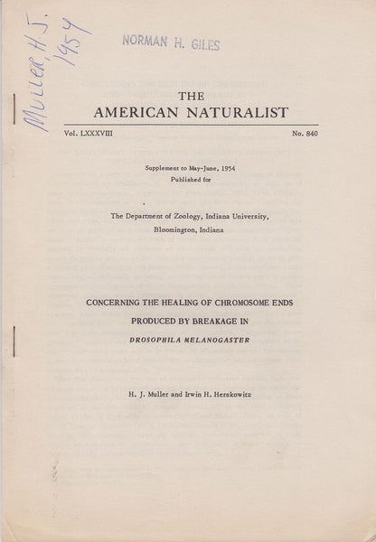 Concerning the Healing of Chromosome Ends Produced by Breakage in Drosophila Melanogaster