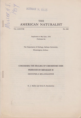 Concerning the Healing of Chromosome Ends Produced by Breakage in Drosophila Melanogaster