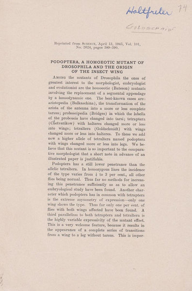 Podoptera, A Homoeotic Mutant of Drosophila and the Origin of the Insect Wing