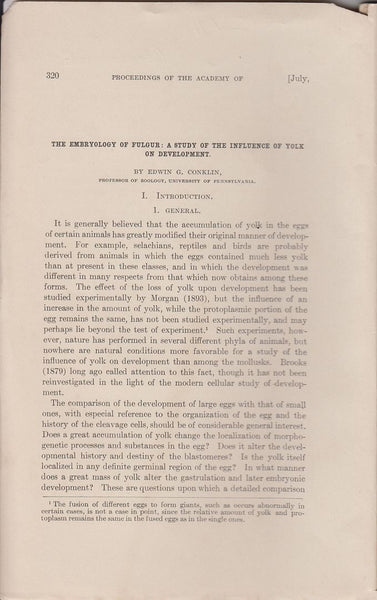 The Embryology of Fulgur: A Study of the Influence of Yolk on Development