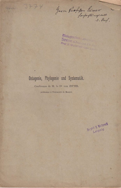 Ontogenie, Phylogenie und Systematik