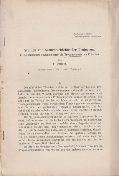 Studien zur Naturgeschichte der Protozoen