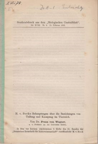 M. v. Bocks Behauptungen uber die Beziehungen von Teilung und Knospung im Tierreich