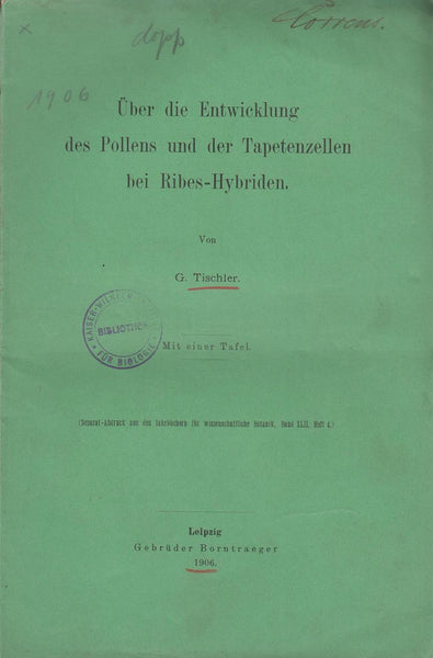 Uber die Entwicklung des Pollens und der Tapetenzellen bei Ribes-Hybriden