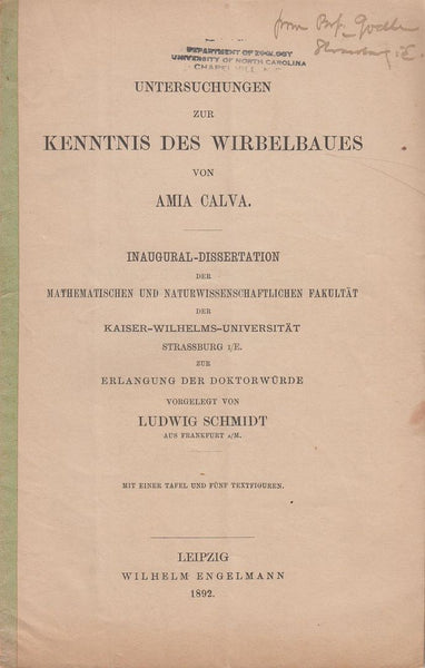 Untersuchungen zur Kenntnis des Wirbelbaues von Amia Calva
