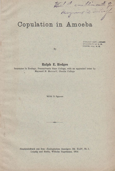 Copulation in Amoeba