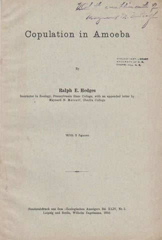 Copulation in Amoeba