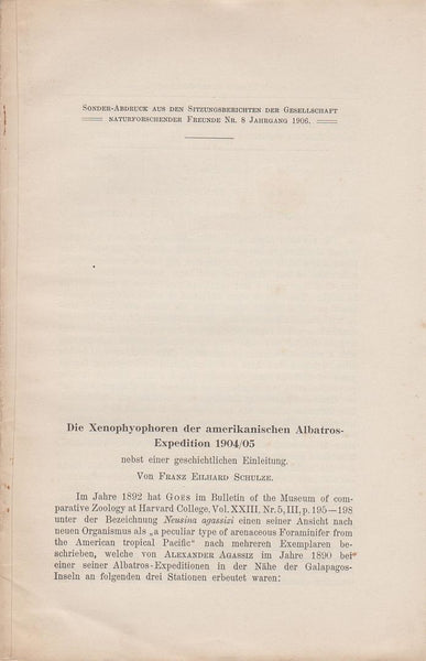 Die Xenophyophoren der amerikanischen Albatros-Expedition 1904/05