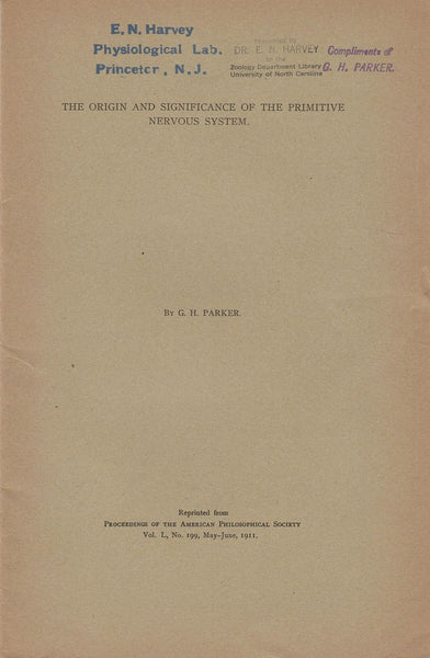The Origin and Significance of the Primitive Nervous System