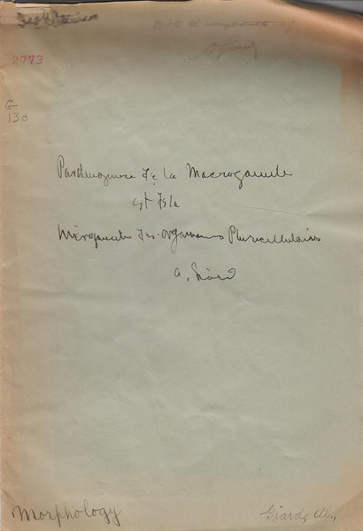 Parthenogenese de la macrogamete et de la microgamete des organismes pluricellulaires