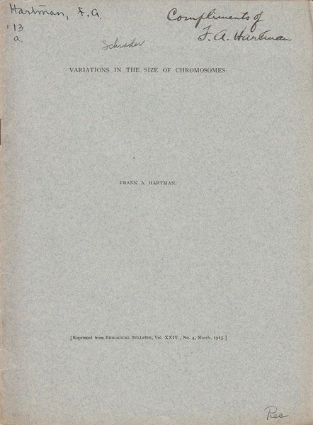 Variations in the Size of Chromosomes