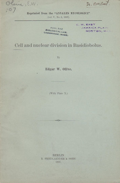 Cell and Nuclear Division in Basidiobolus