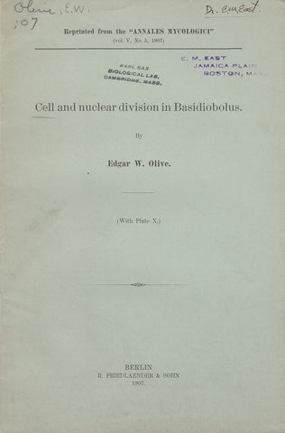 Cell and Nuclear Division in Basidiobolus